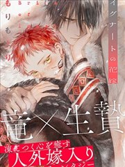 第384章封面